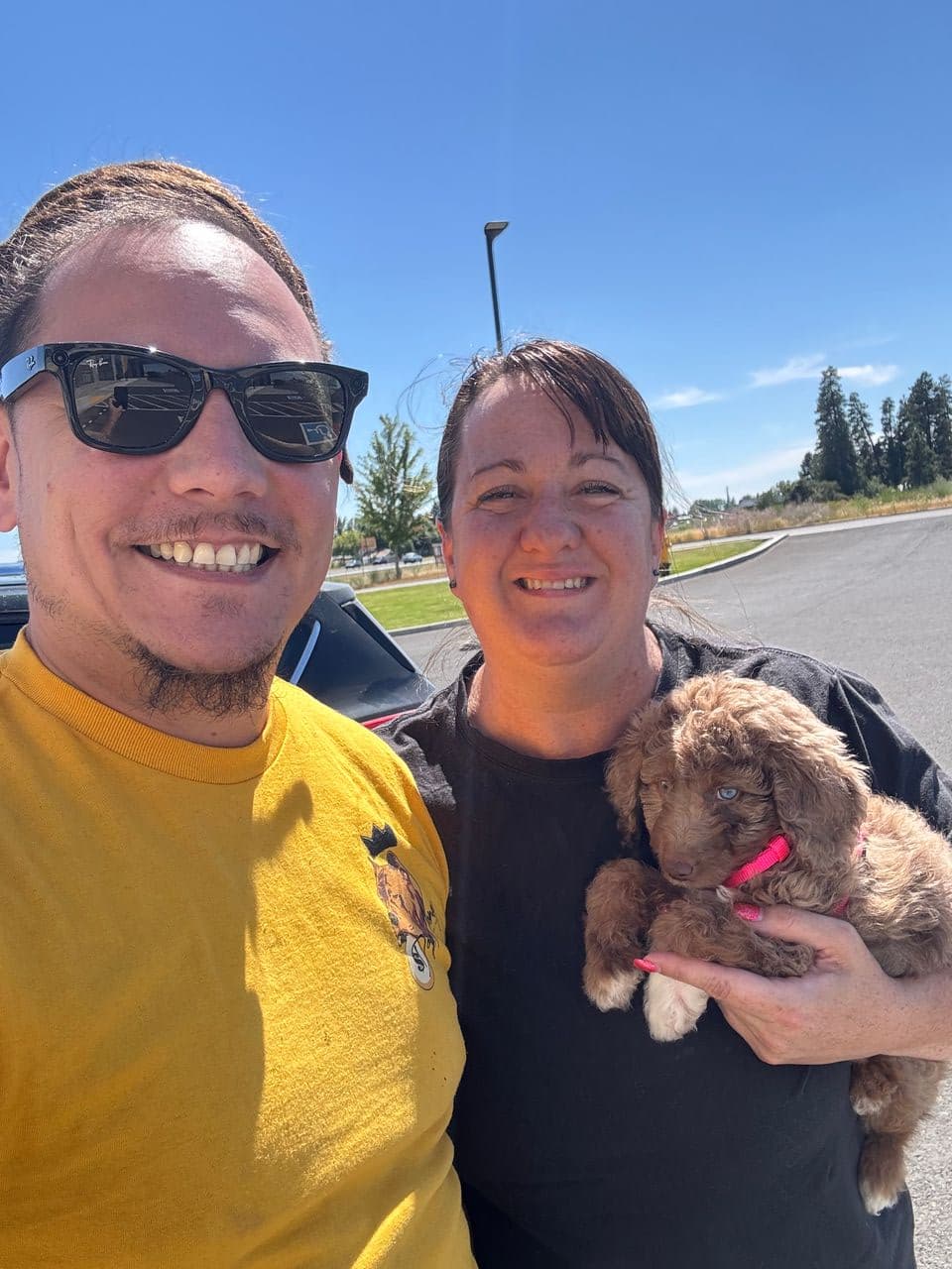 Pet travel photo 3
