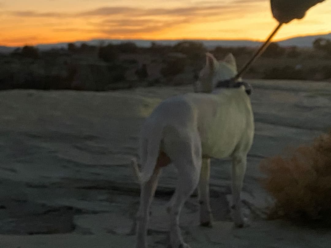 All Aboard Transports