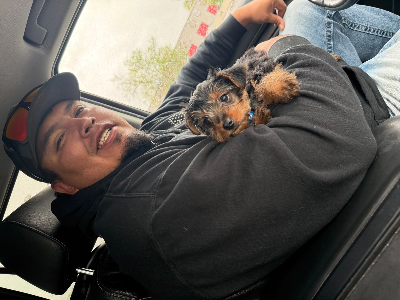 Pet travel photo 1