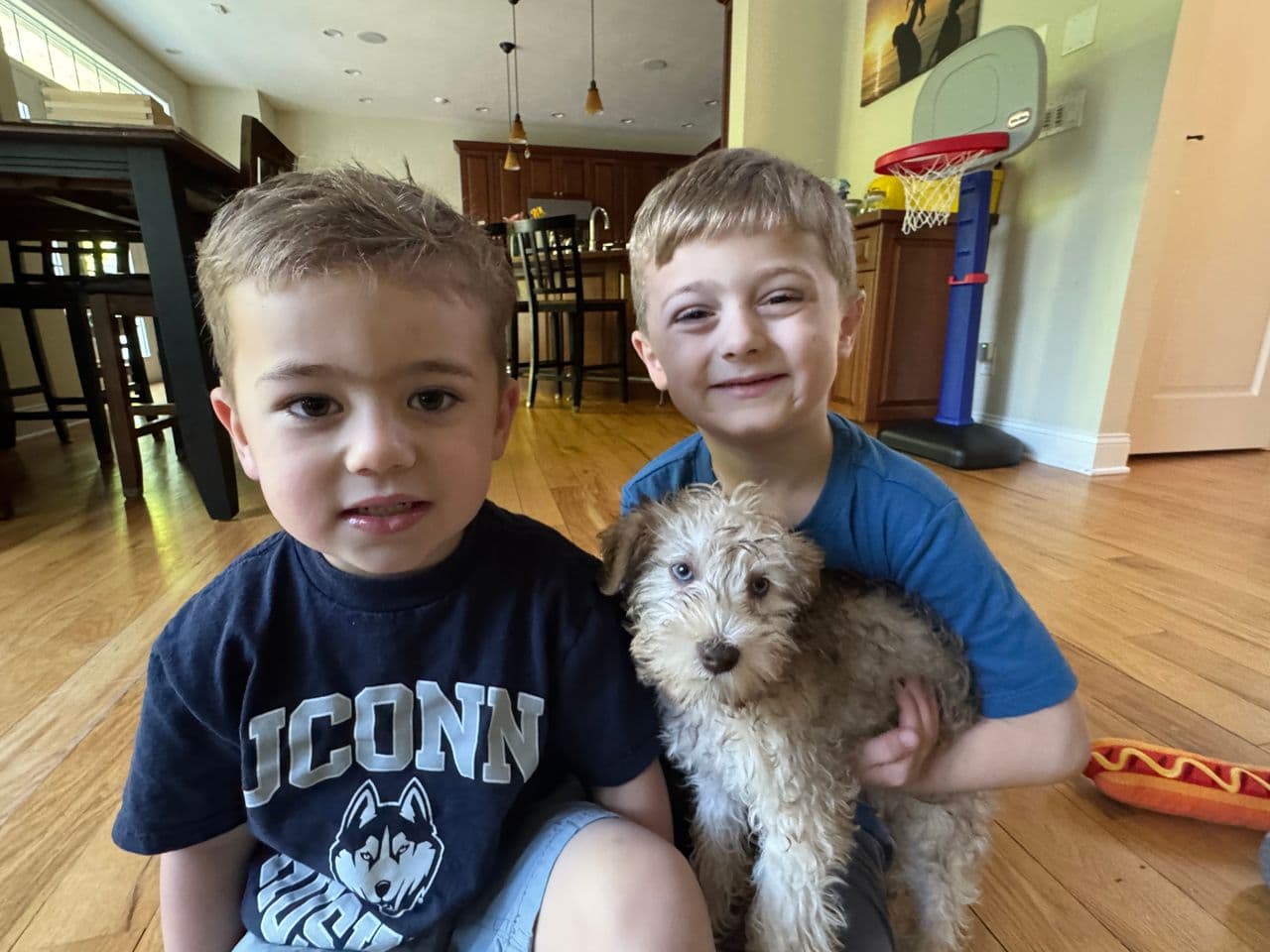 Pet travel photo 4
