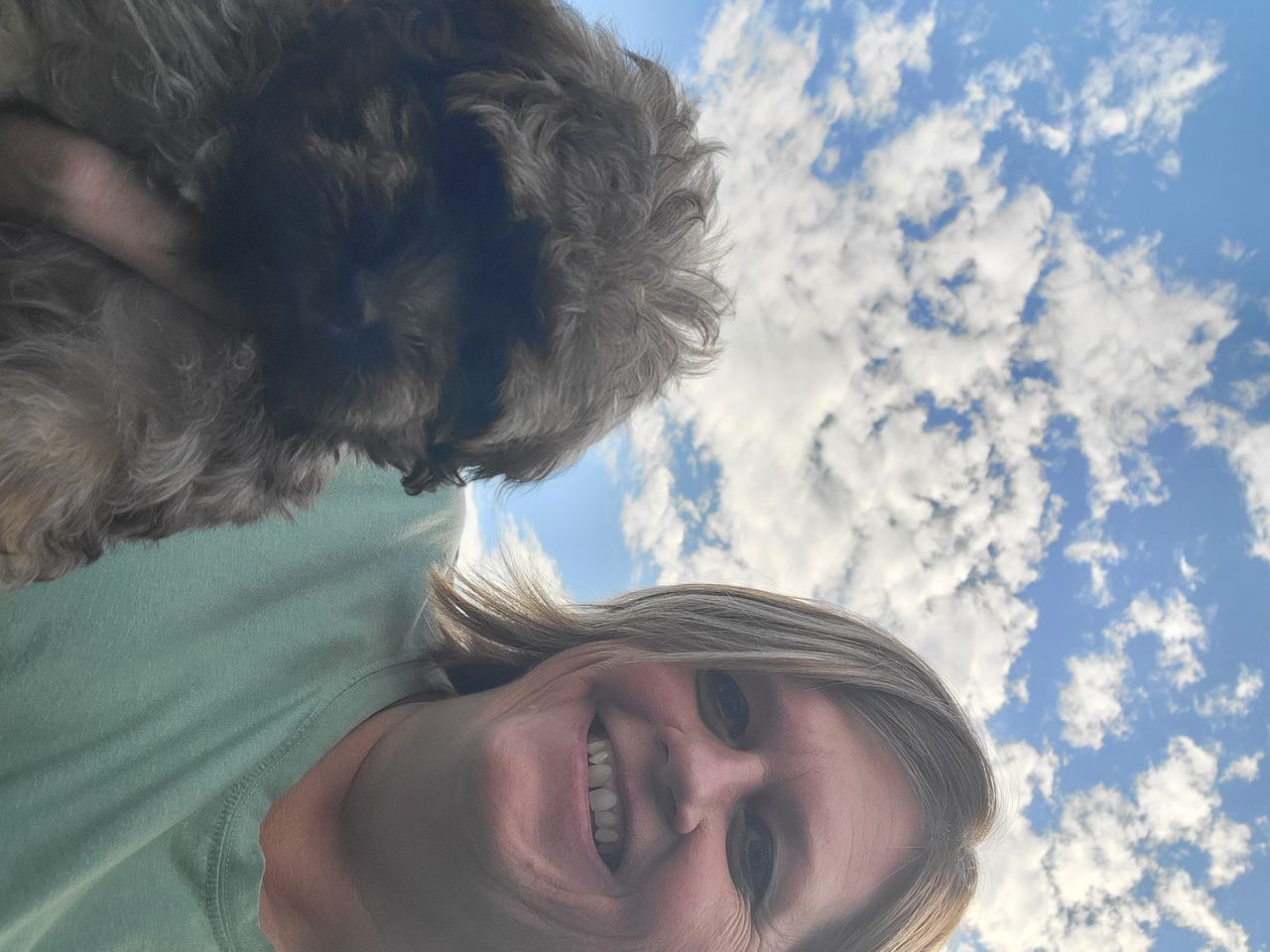 Pet travel photo 2