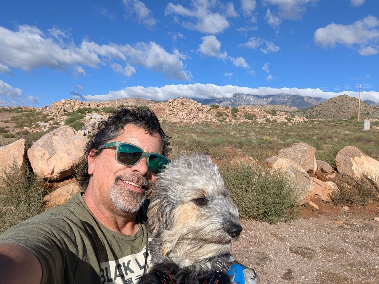 Pet travel photo 1