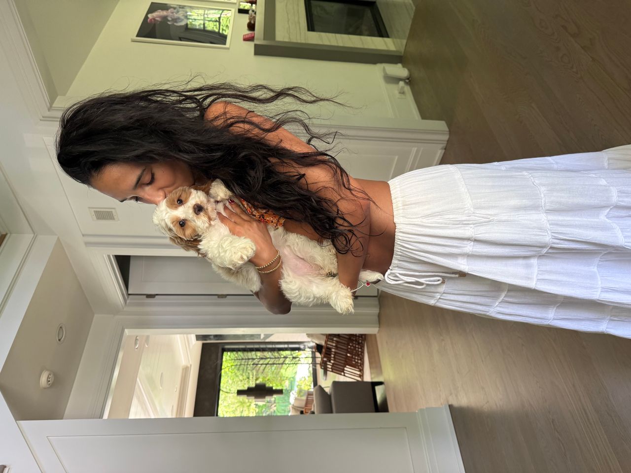Pet travel photo 2