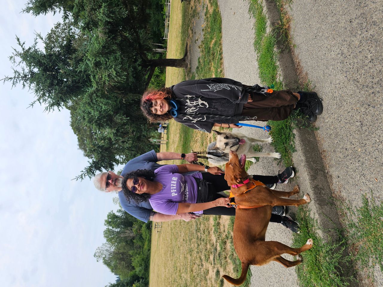 Pet travel photo 3