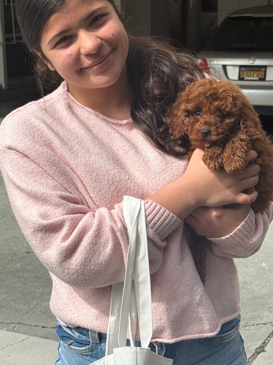 Pet travel photo 3