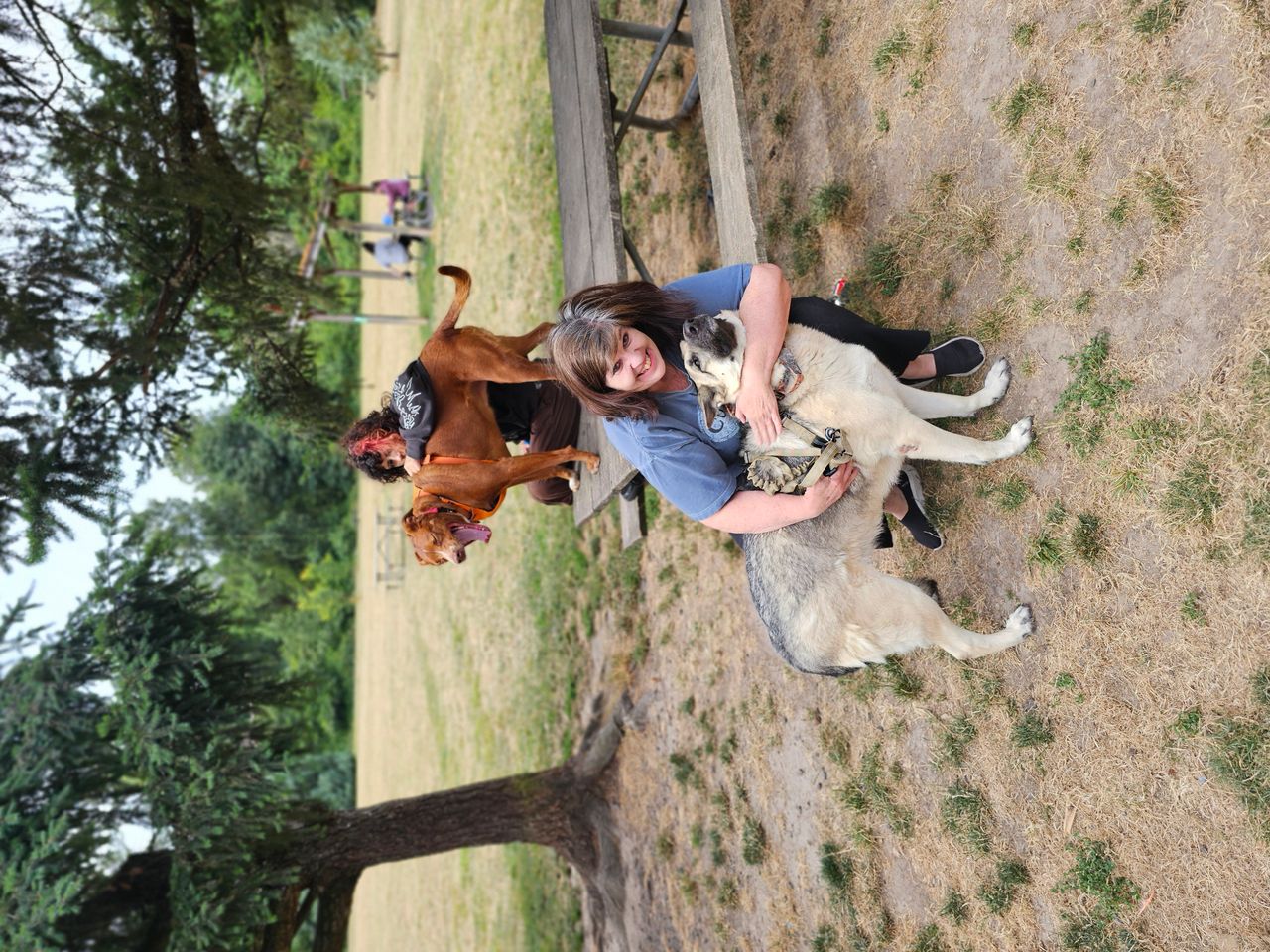 Pet travel photo 2