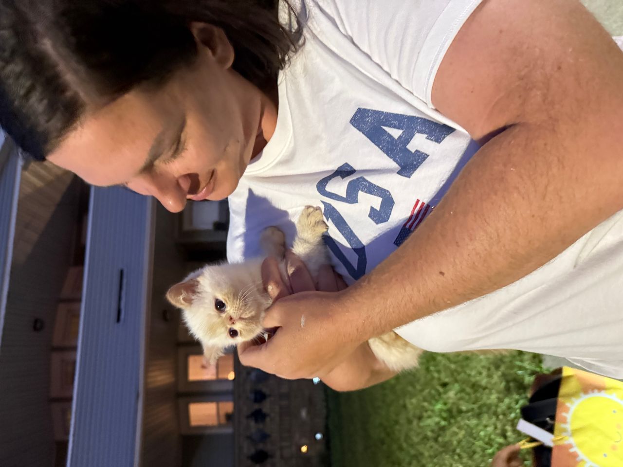 Pet travel photo 4