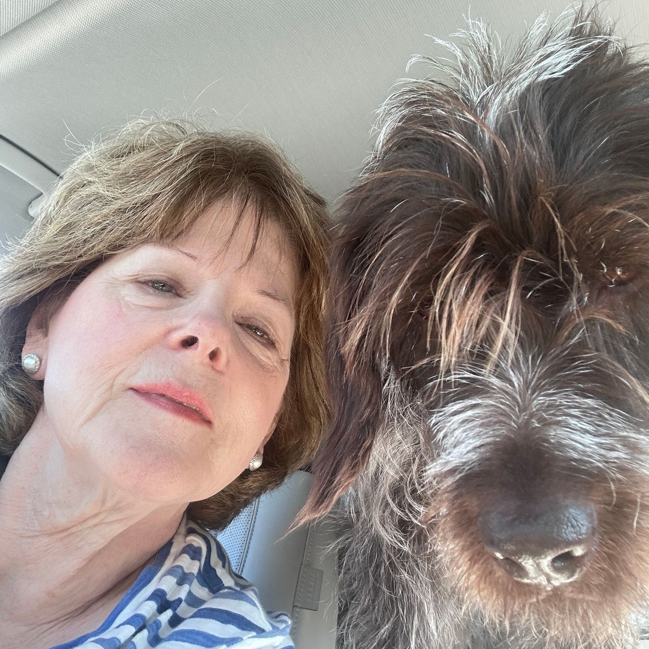 Pet travel photo 2
