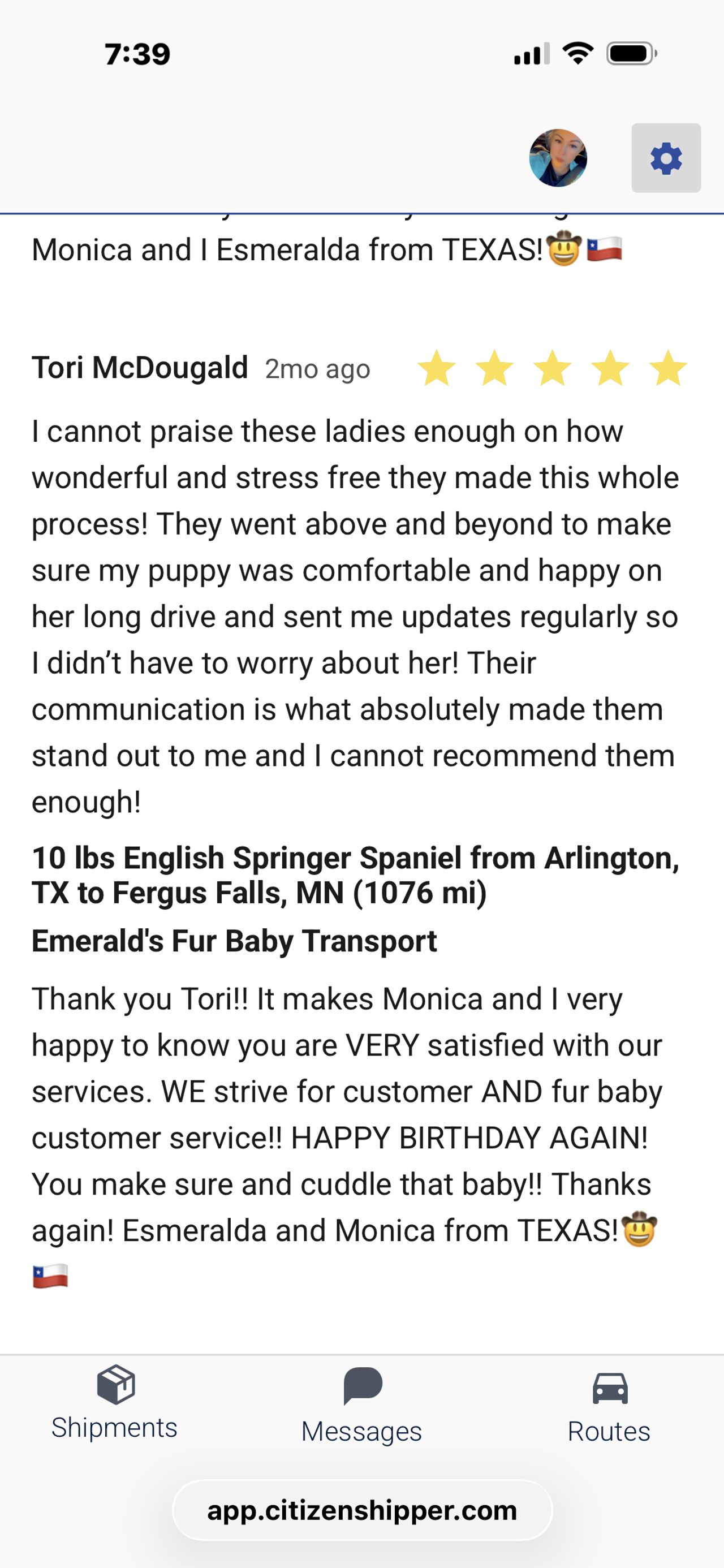 Pet travel photo 4