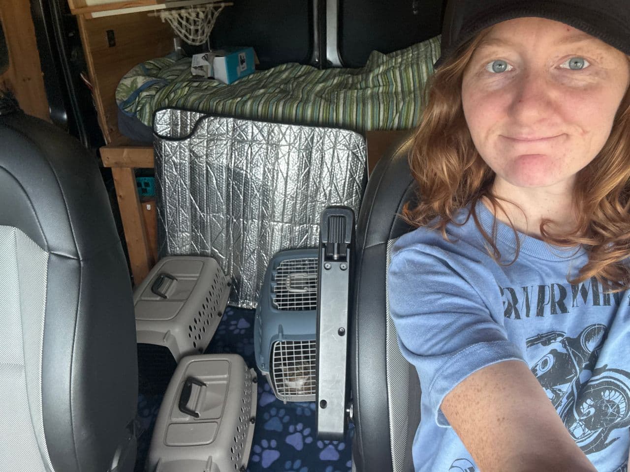 Pet travel photo 1