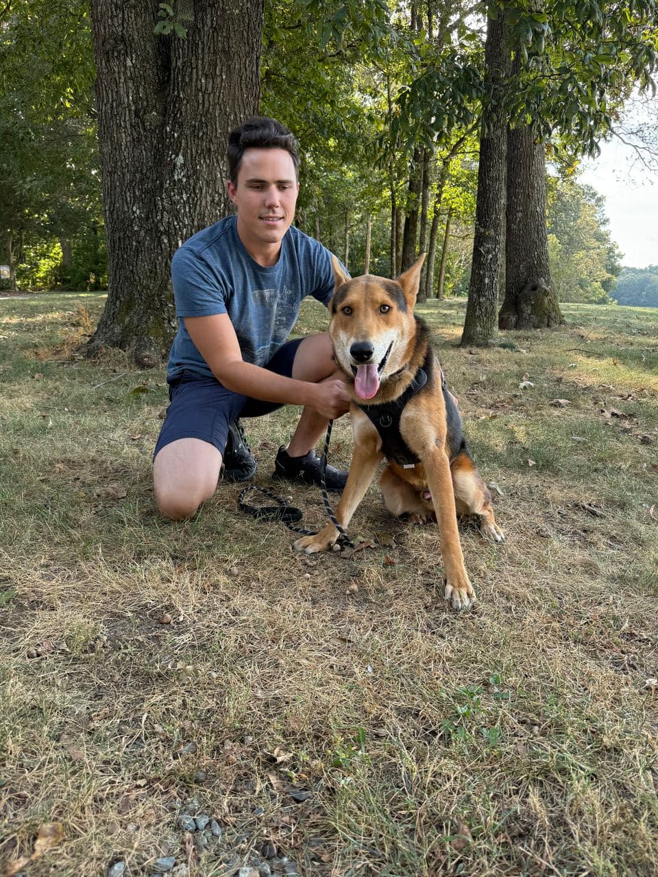Pet travel photo 2