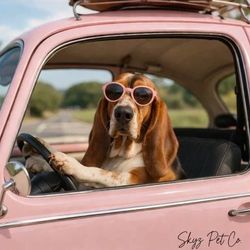 Skyz Pet Company