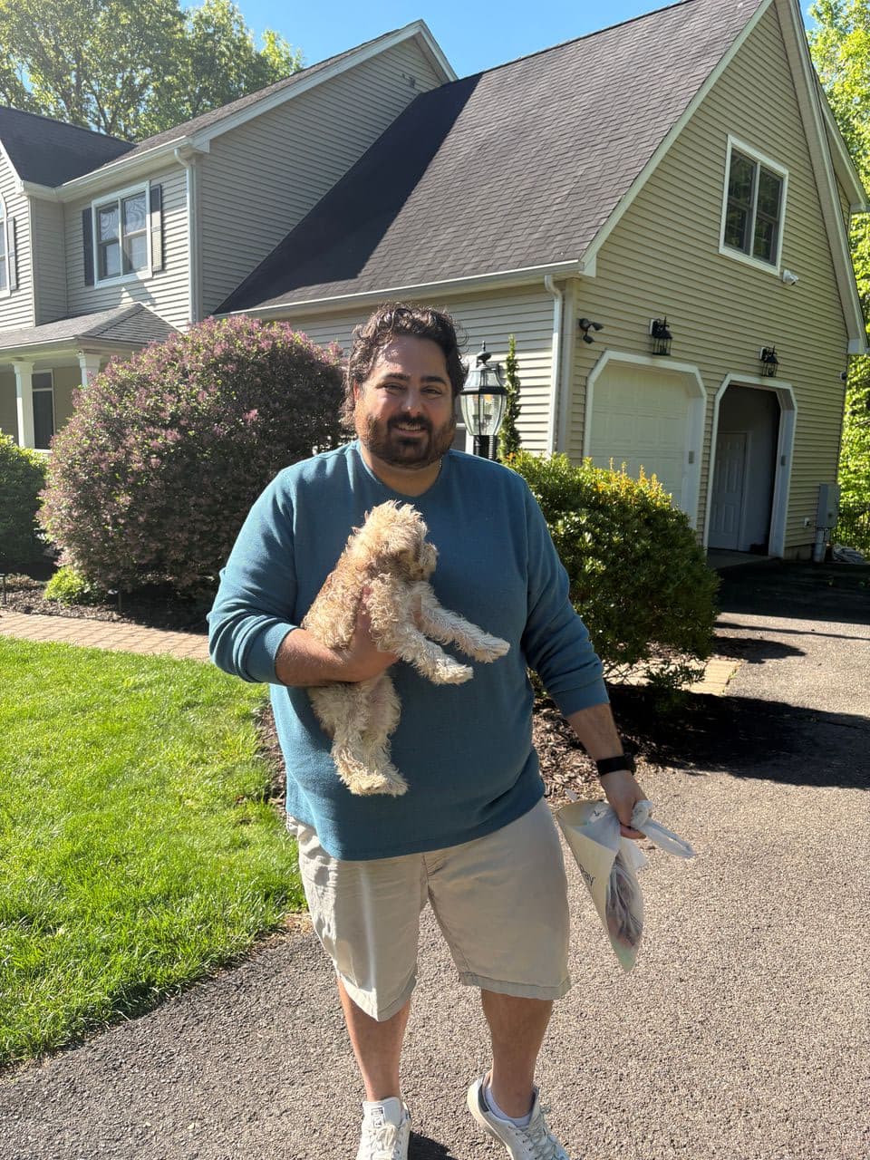 Pet travel photo 2
