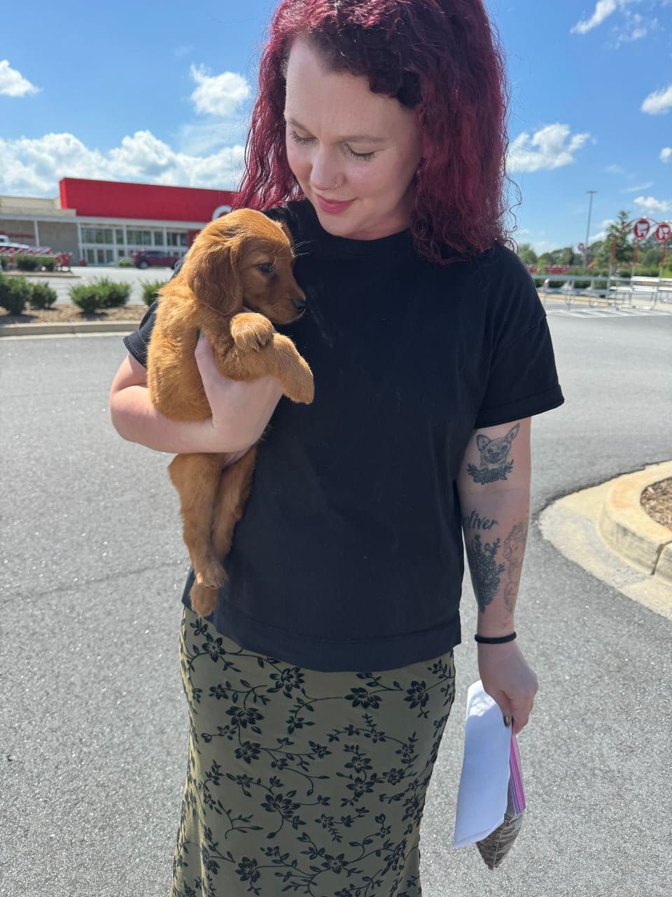 Pet travel photo 3