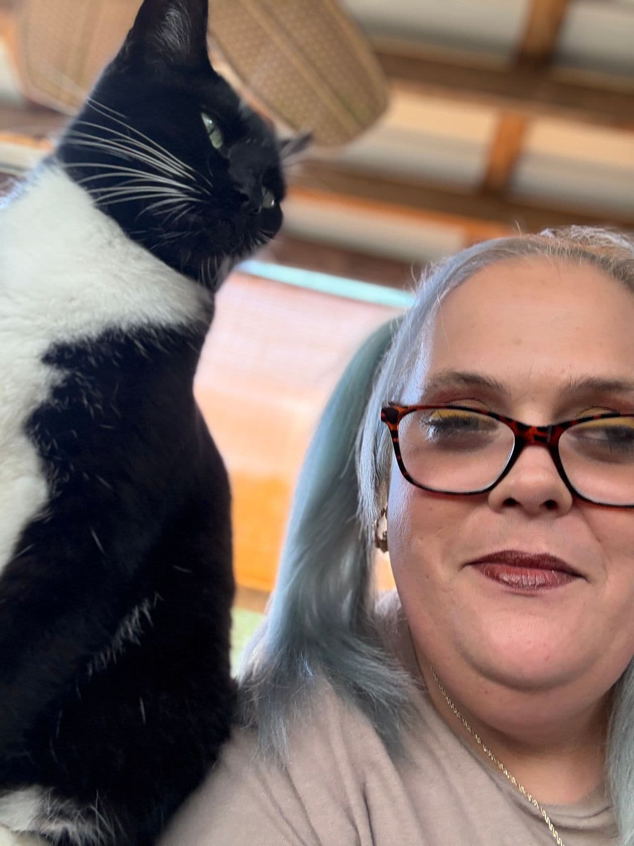 Pet travel photo 1