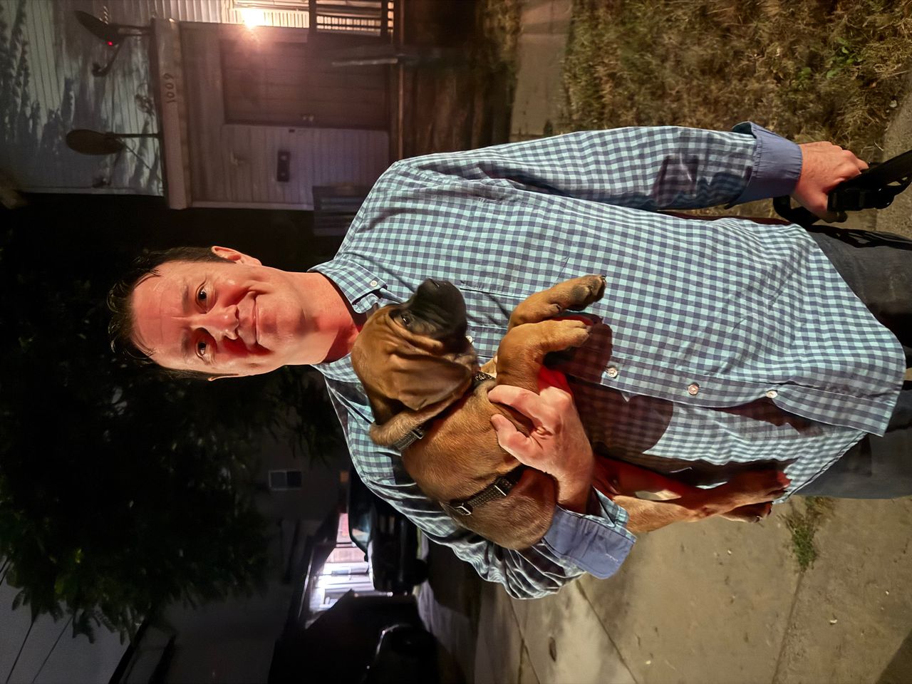 Pet travel photo 1