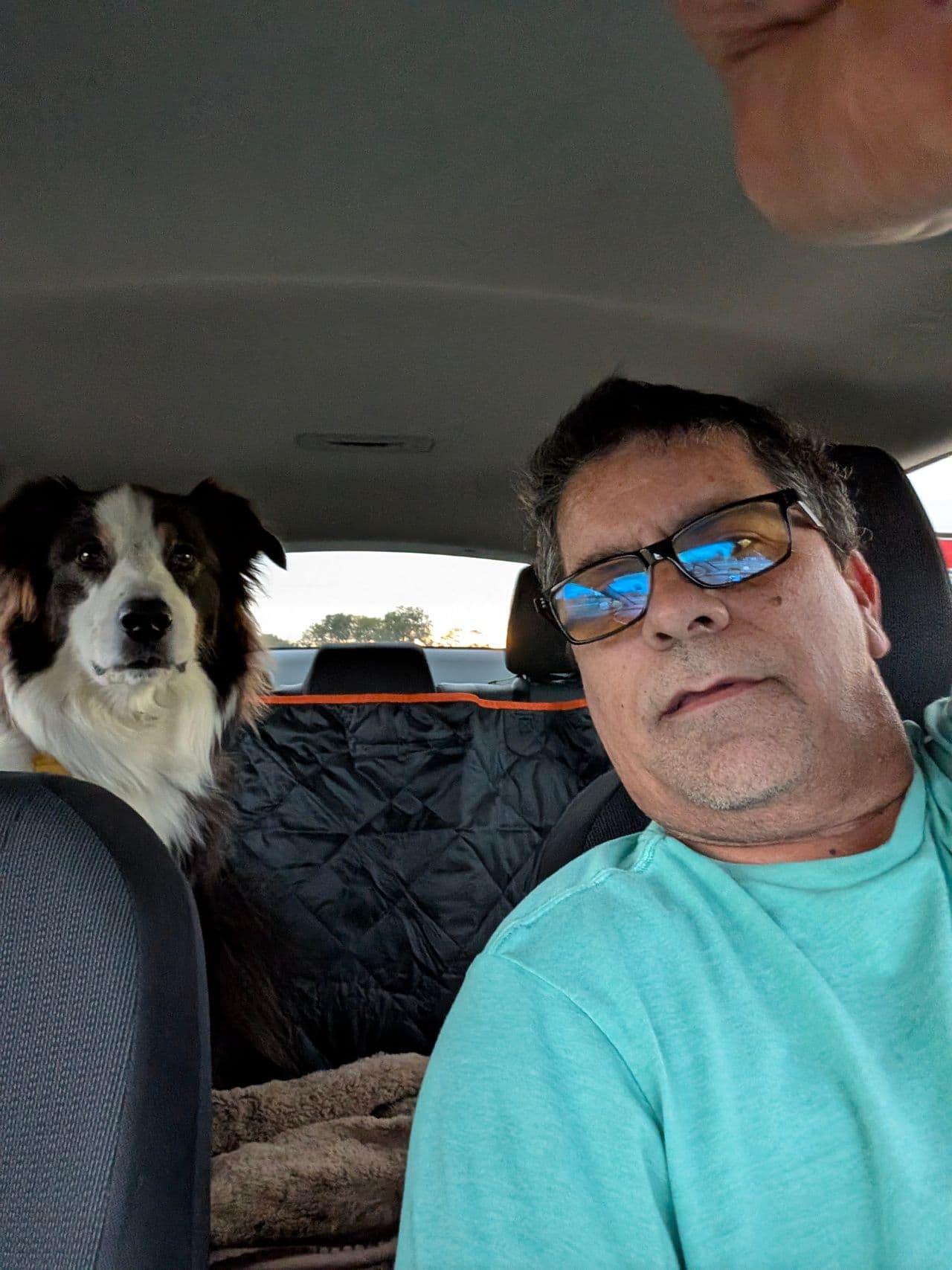 Pet travel photo 5