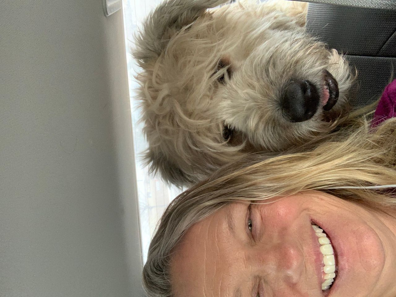 Pet travel photo 2