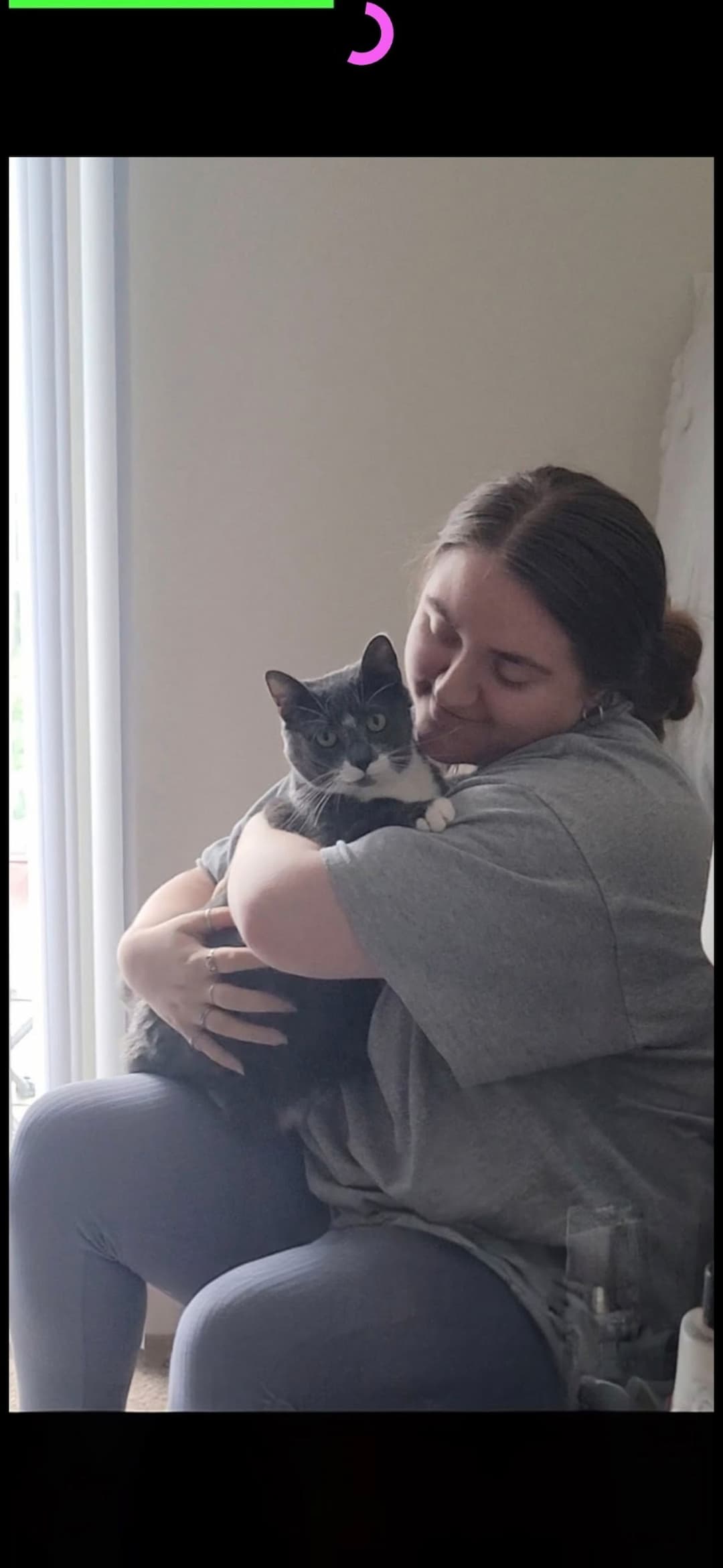 concierge pet transport