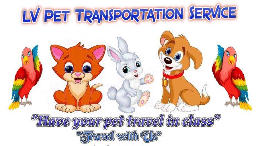 LV Pet Transportation services.