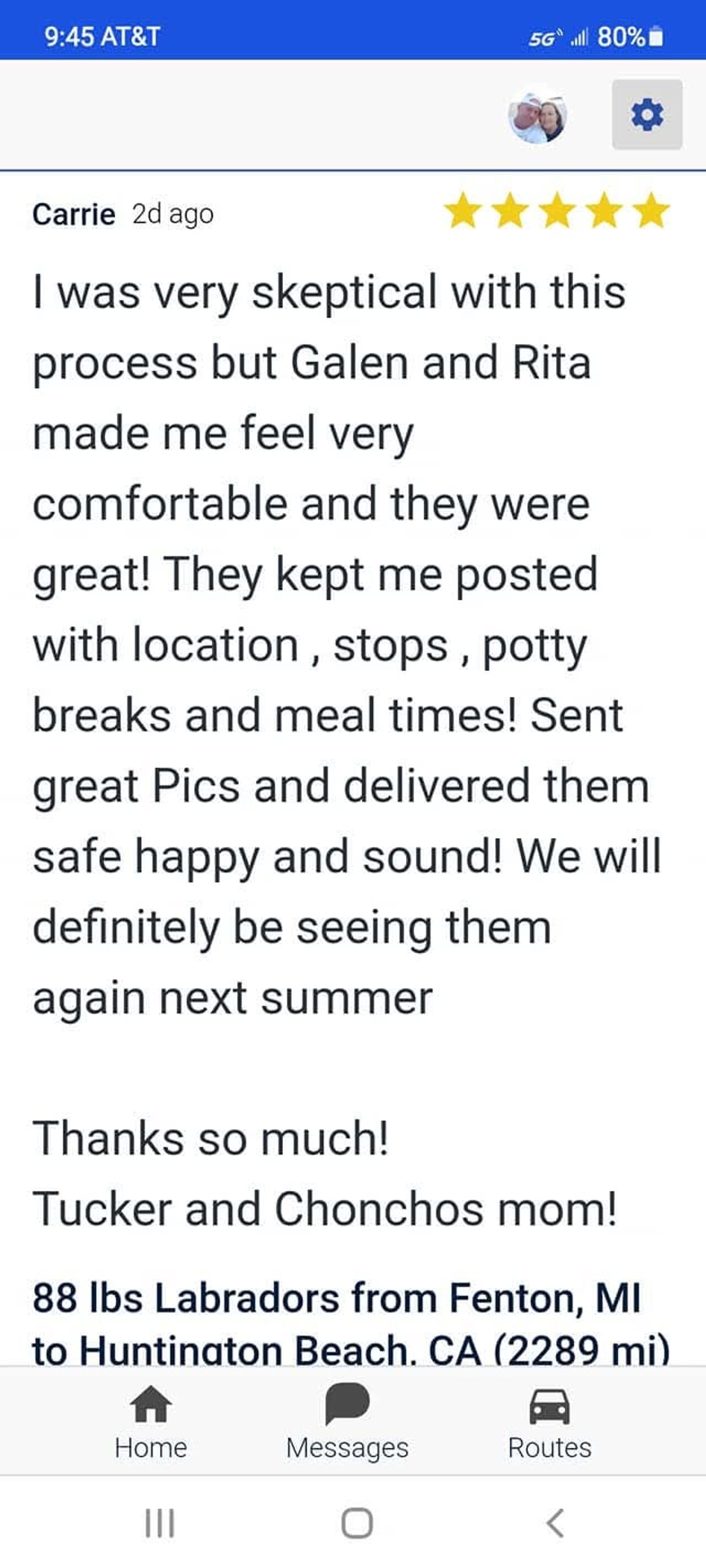 Pet travel photo 2