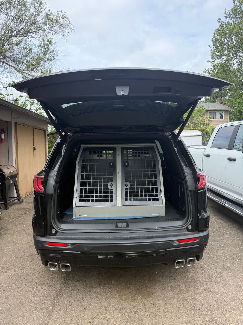 Pet travel photo 1