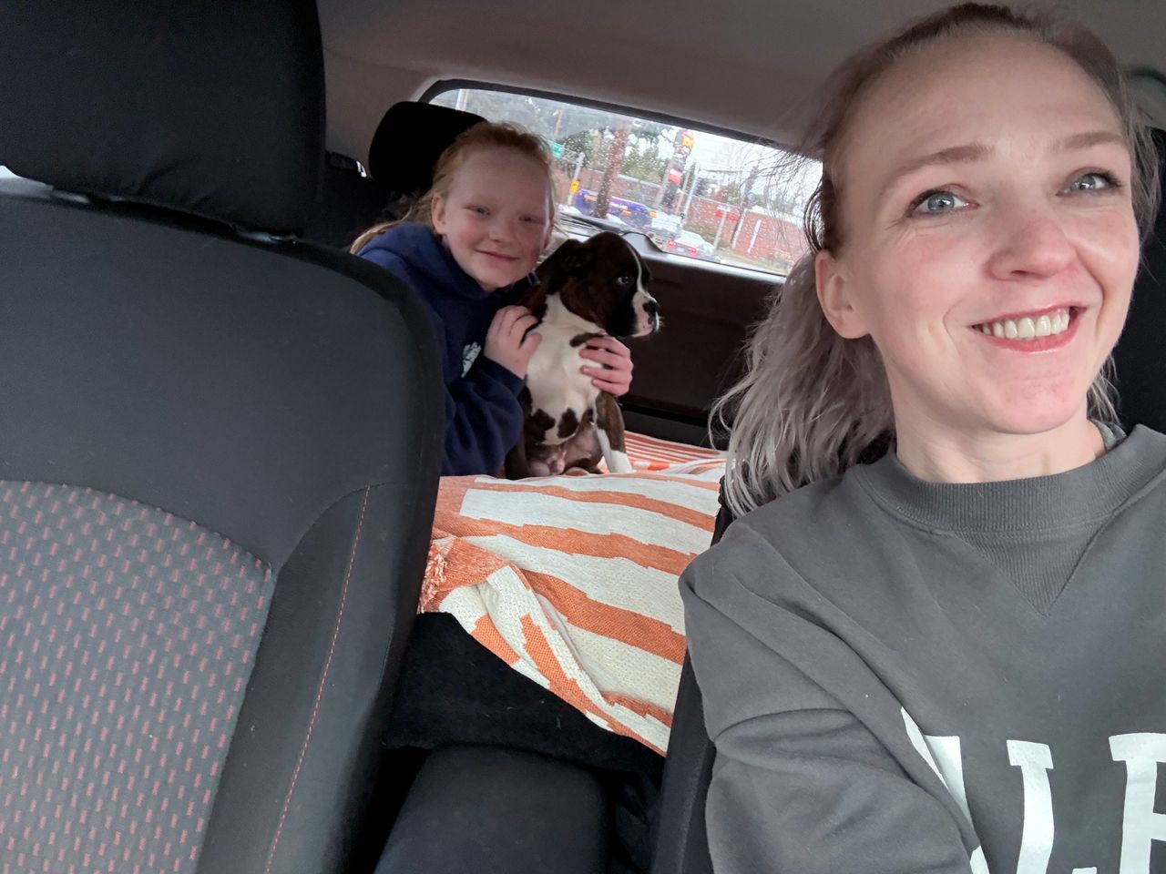 Pet travel photo 3
