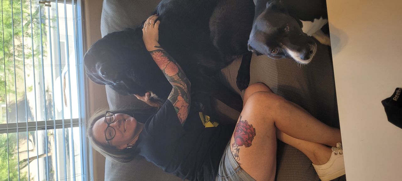 Pet travel photo 3