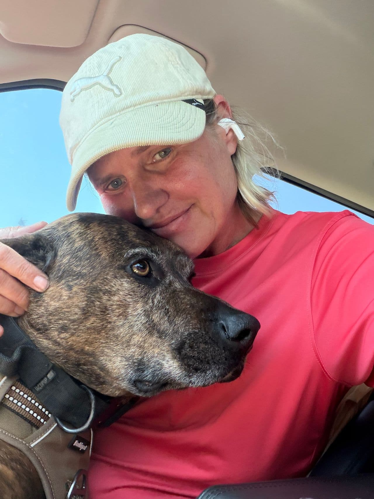 Pet travel photo 3