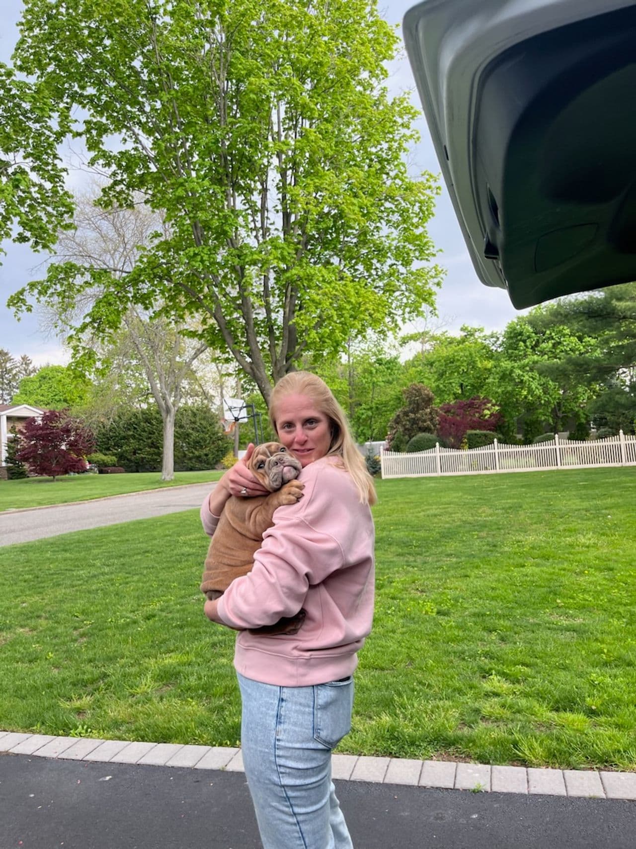 Pet travel photo 1
