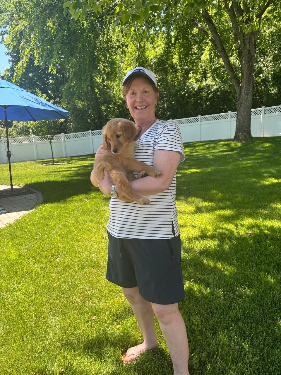 Pet travel photo 1