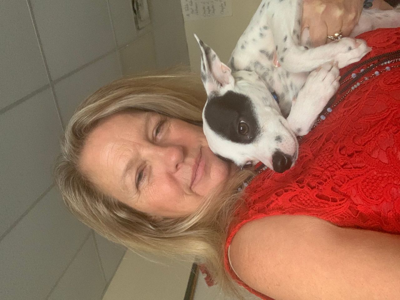Pet travel photo 1