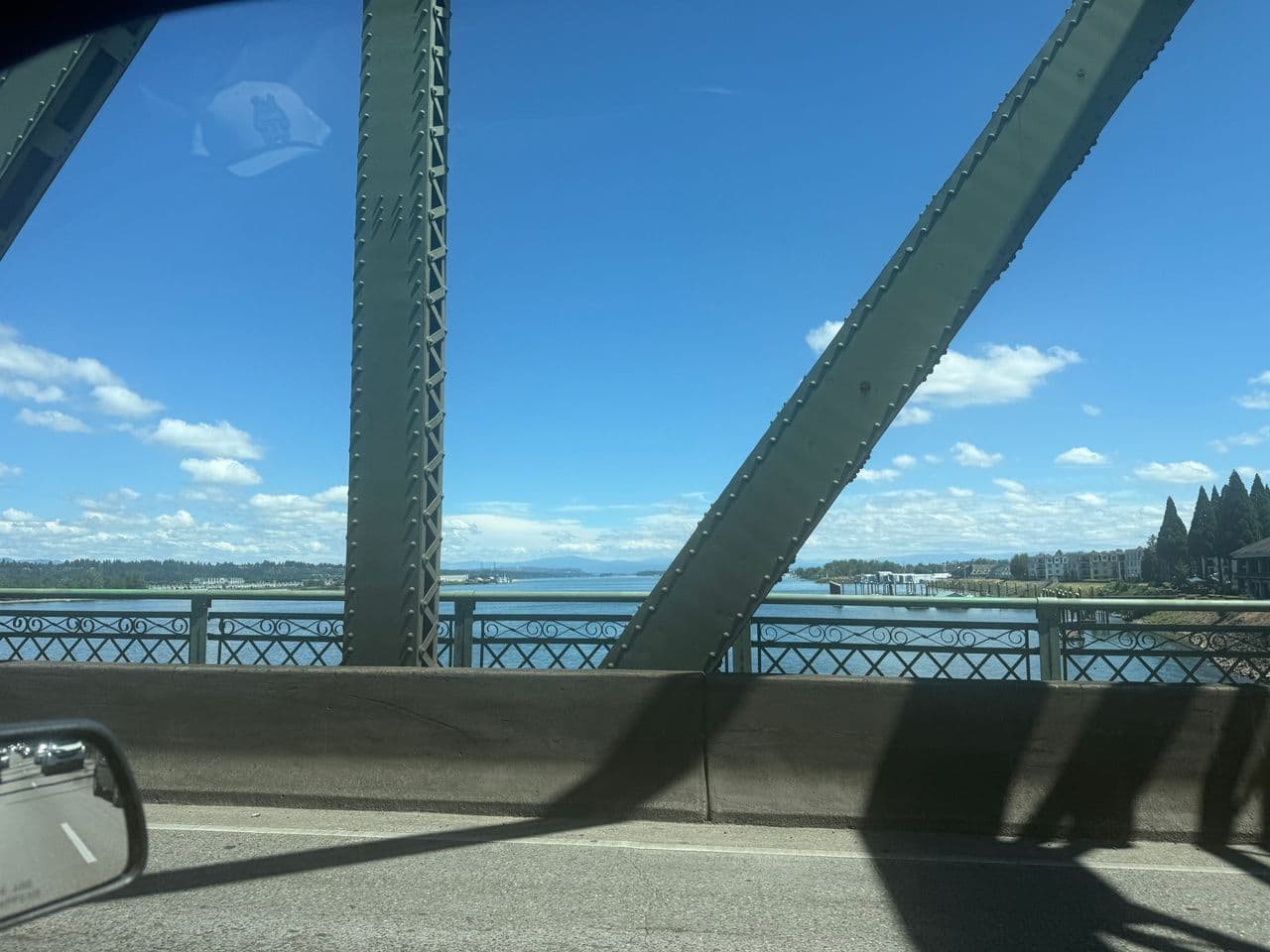 Pet travel photo 1