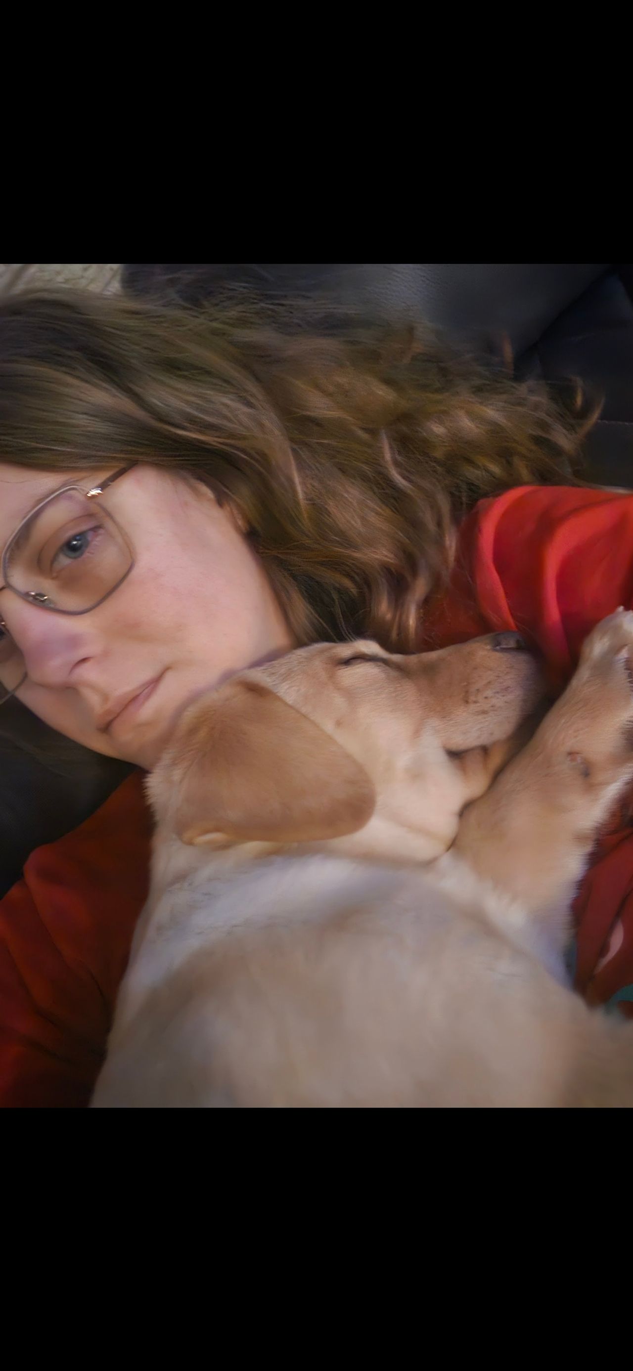 Pet travel photo 4