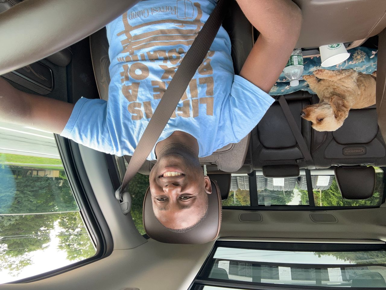 Pet travel photo 3