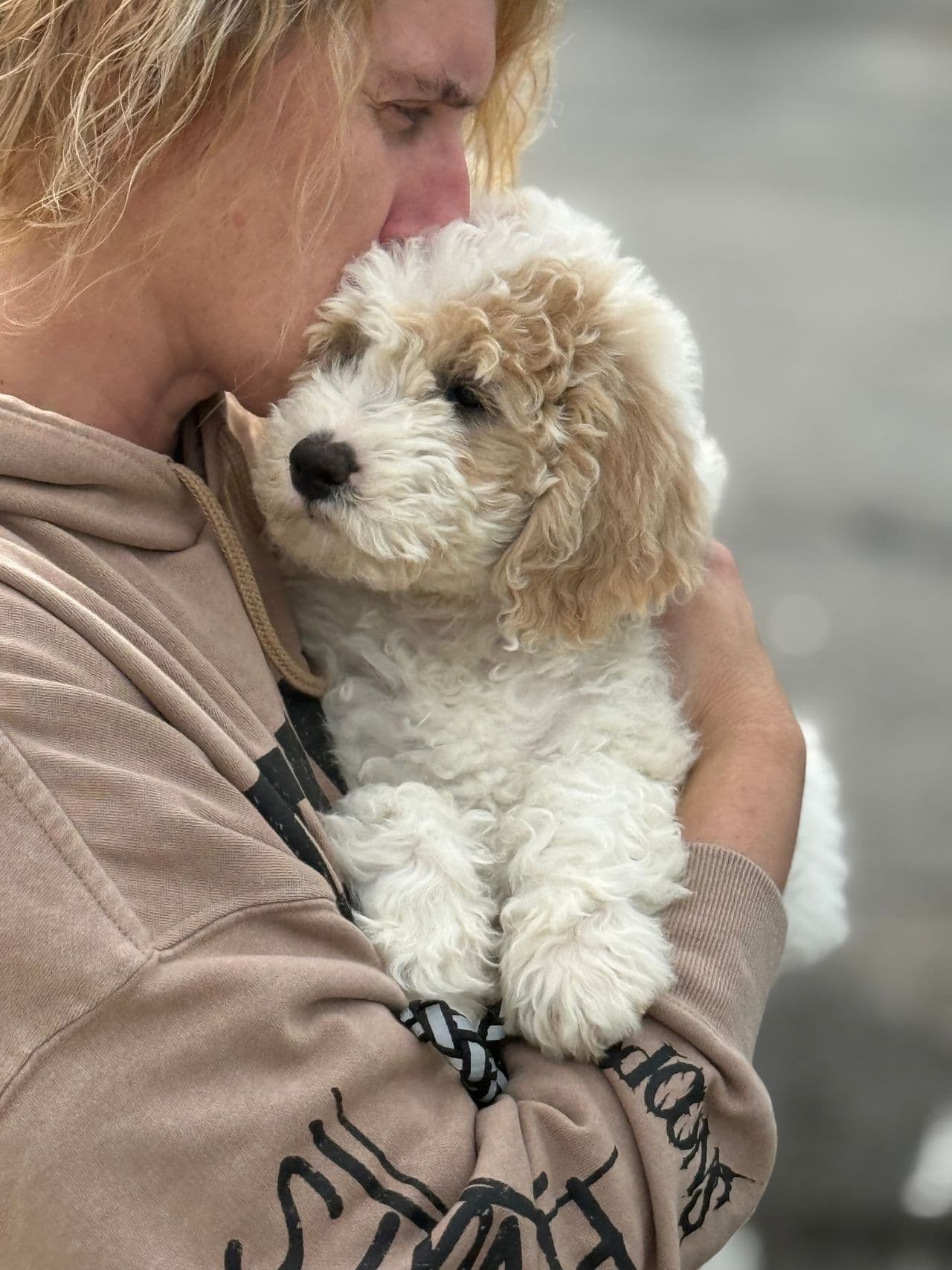 Pet travel photo 2