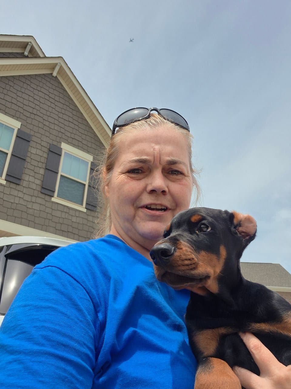 Pet travel photo 3