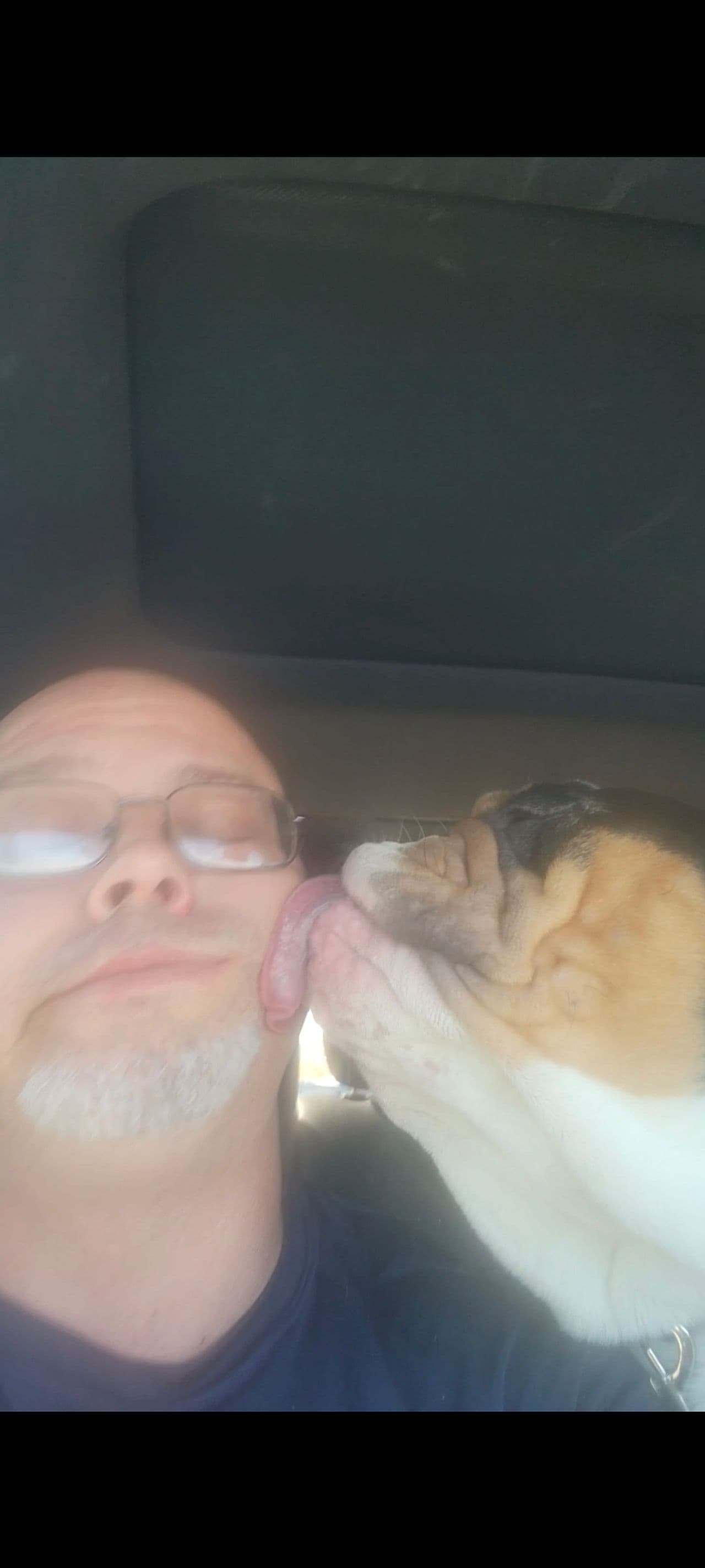 Pet travel photo 4