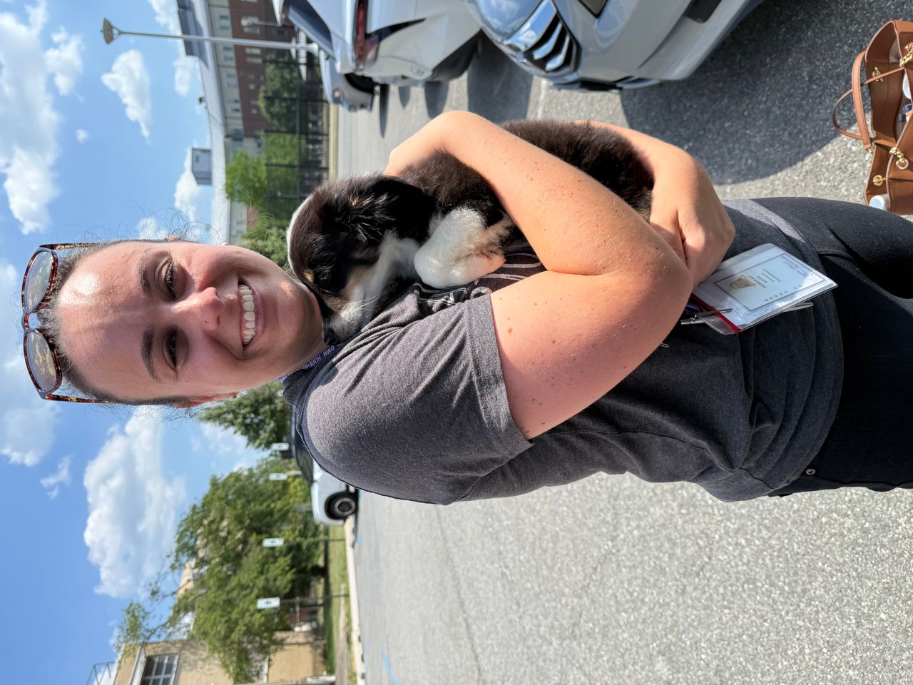 Pet travel photo 1