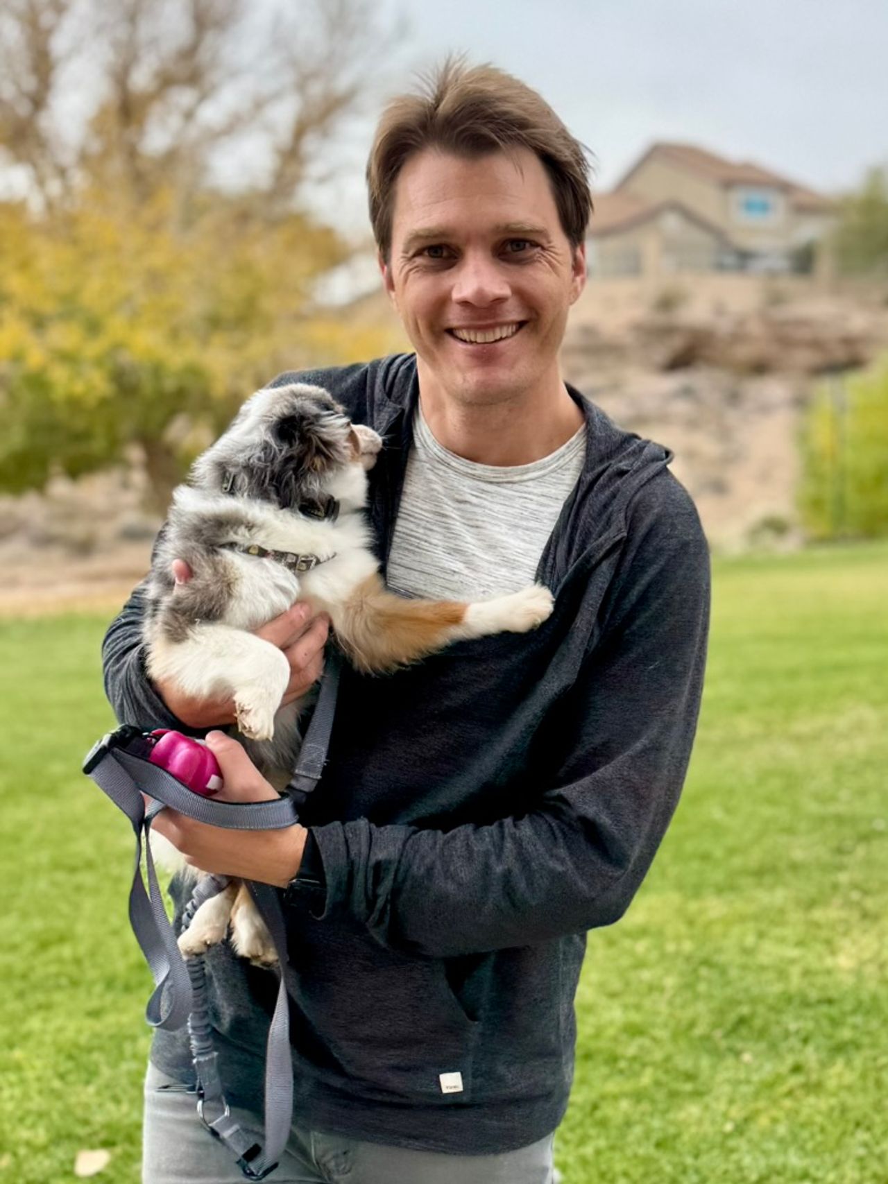Pet travel photo 1