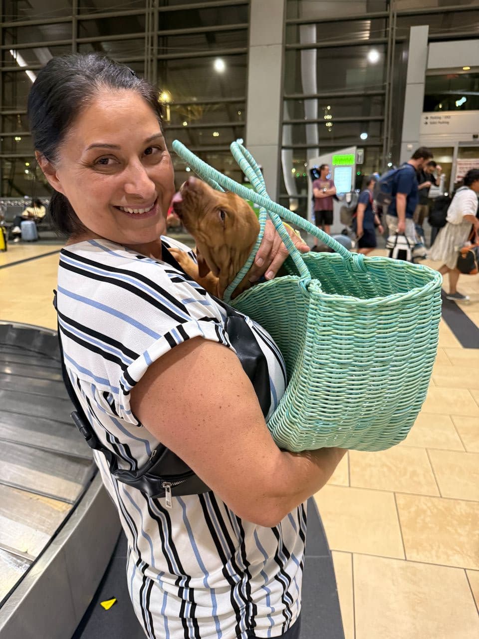 Pet travel photo 5
