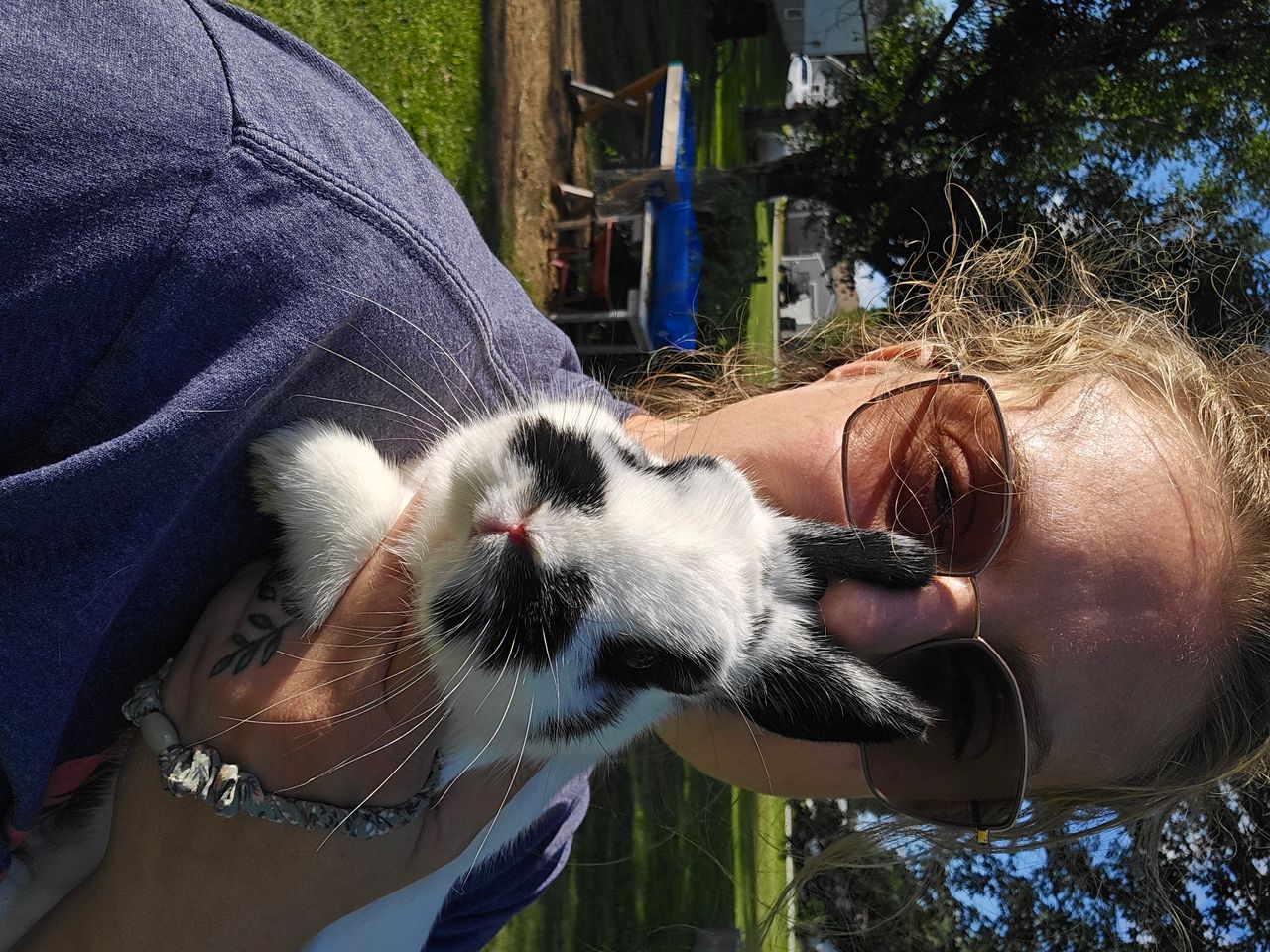 Pet travel photo 3
