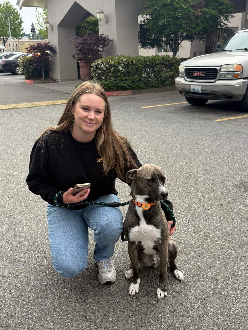 Pet travel photo 2
