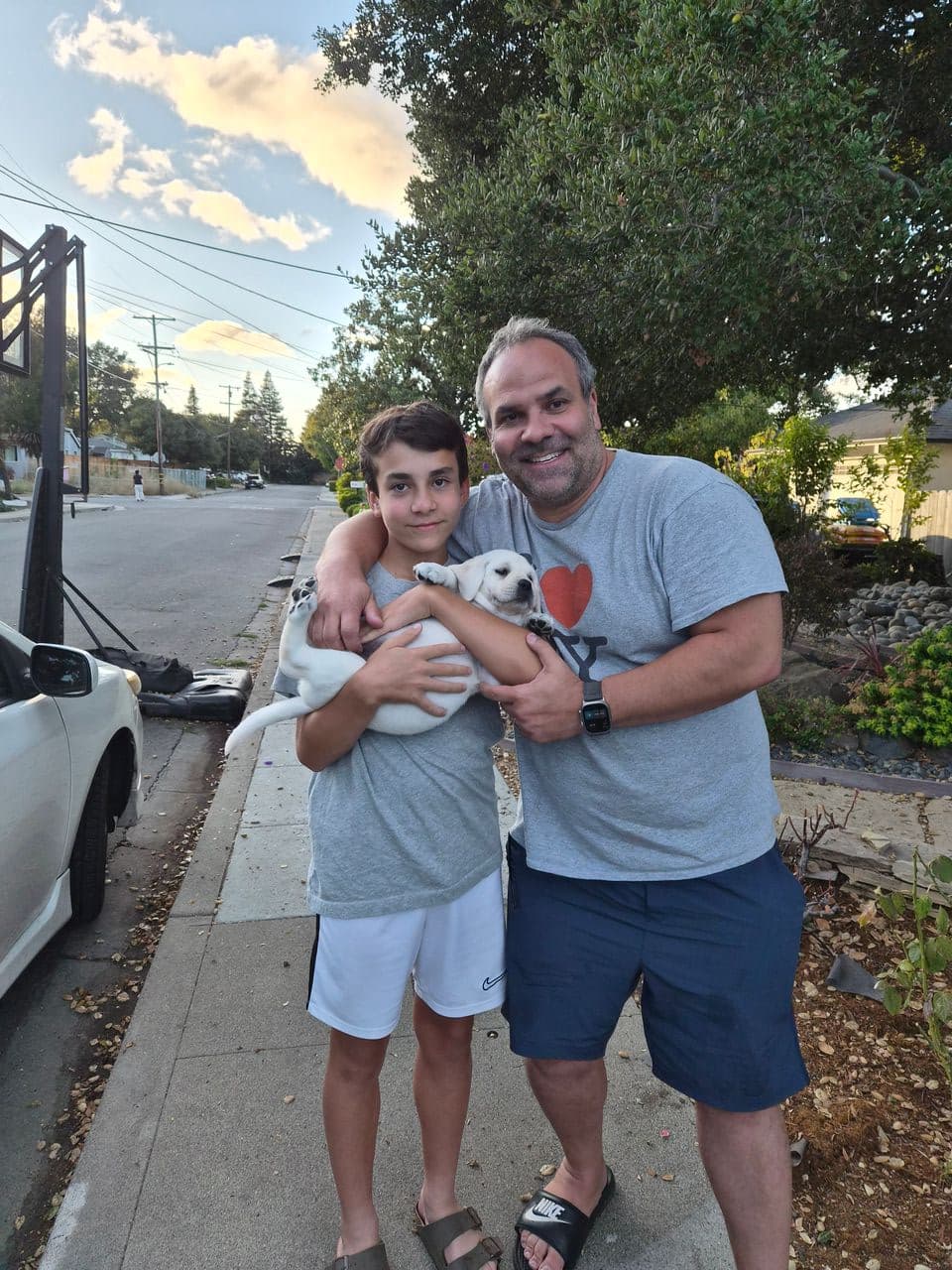Pet travel photo 2