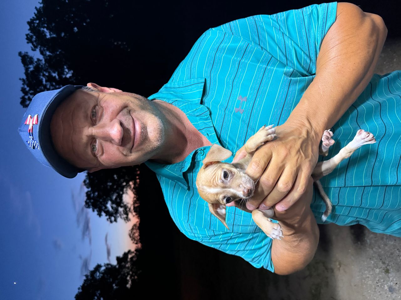 Pet travel photo 2