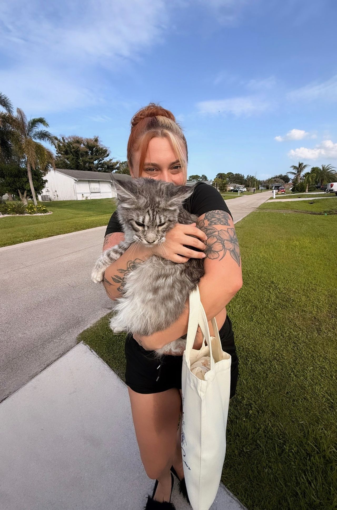 Pet travel photo 1