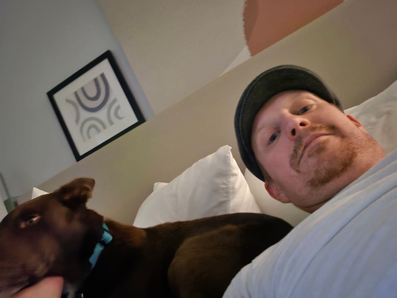 Pet travel photo 3