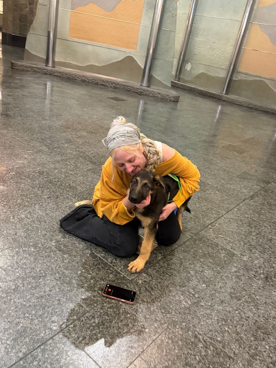 Pet travel photo 2