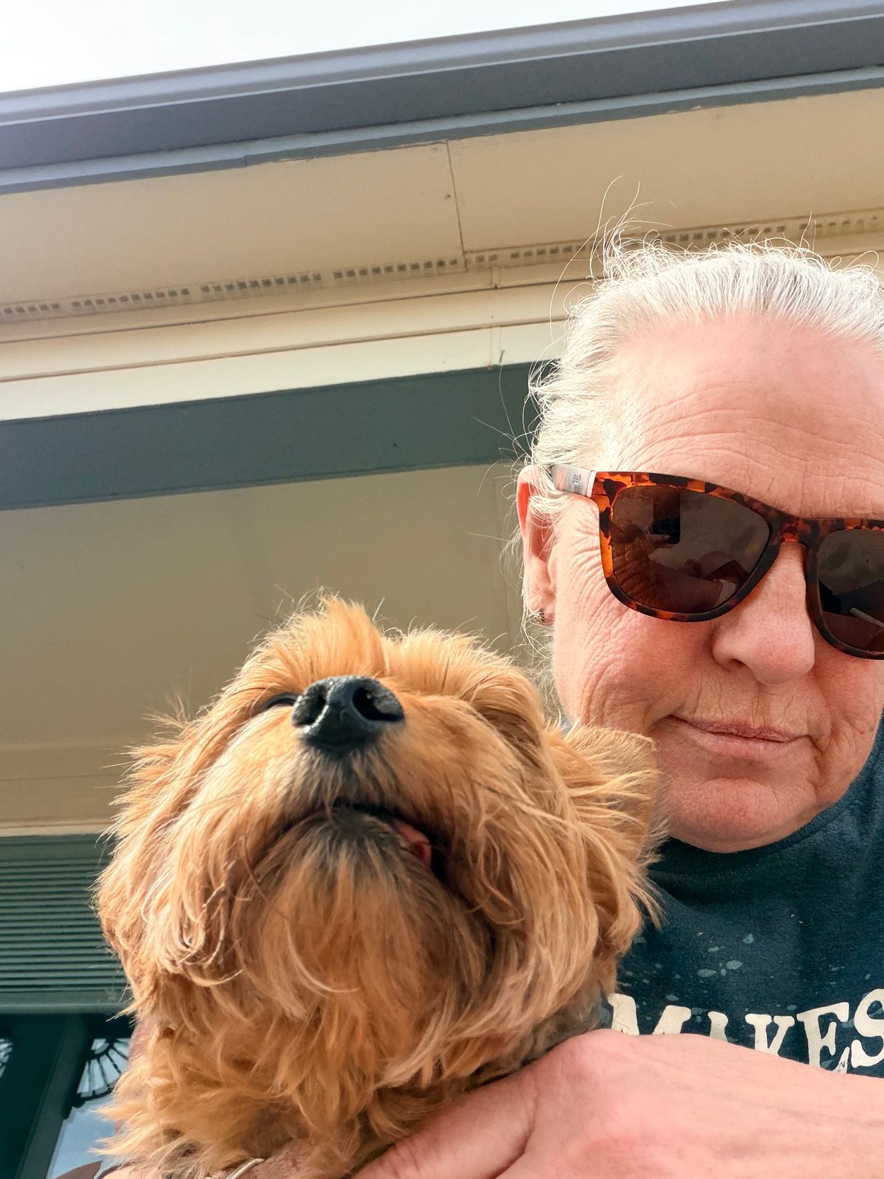 Pet travel photo 5