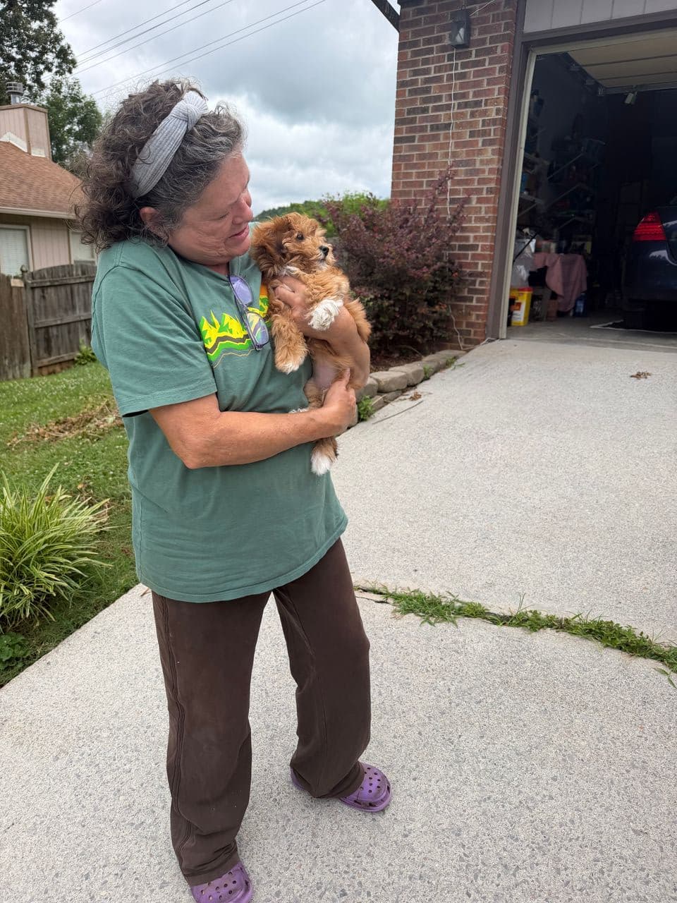 Pet travel photo 3